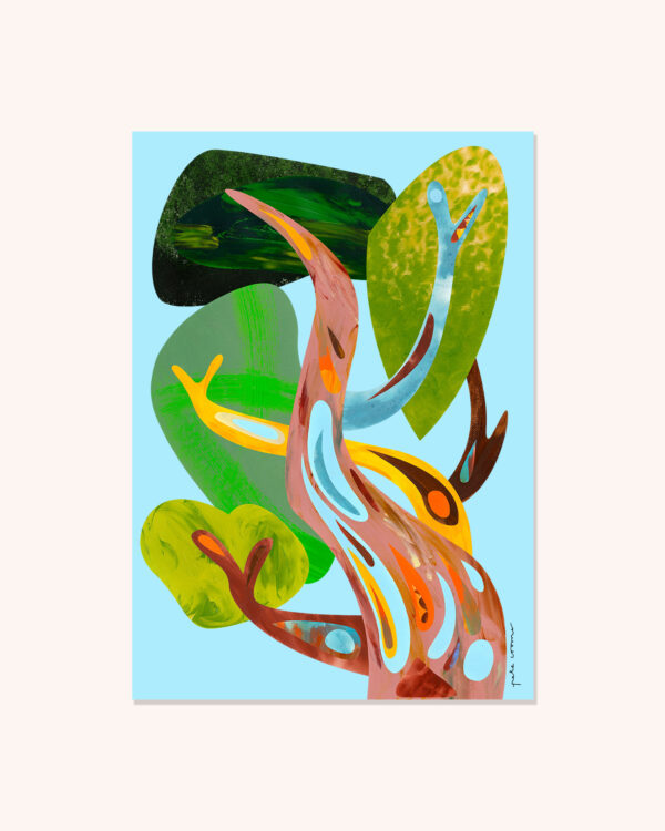Snow Gum