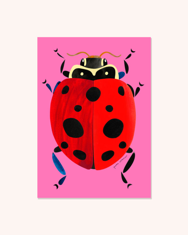 Spotted Amber Ladybird