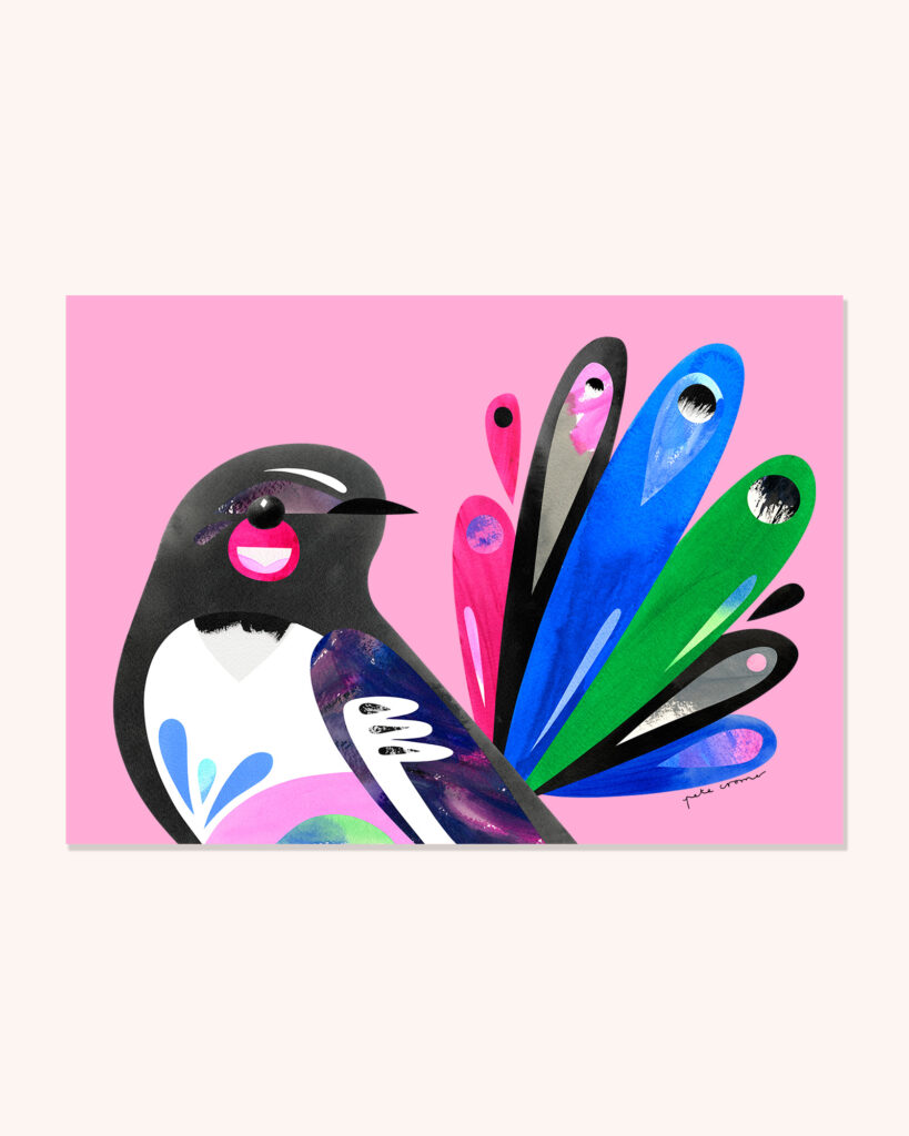 Willie Wagtail