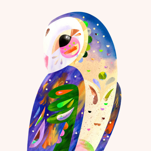 Australian Birds of Prey