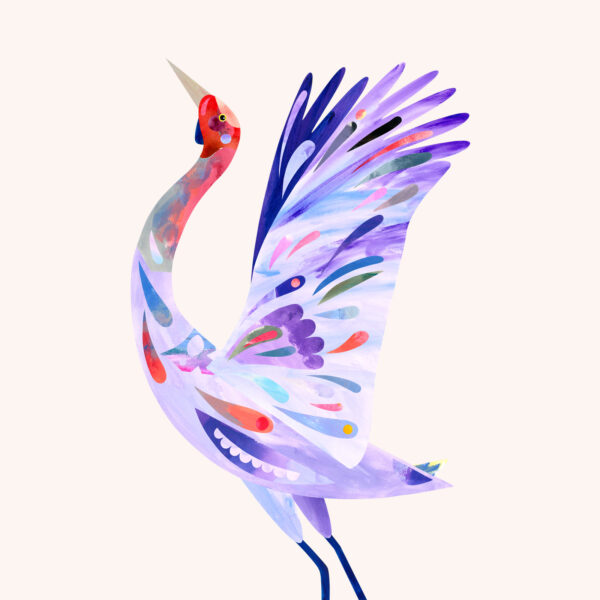 Australian Water Birds