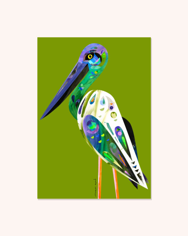 Black-necked Stork (Jabiru)
