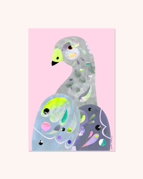 Cape Barren Goose