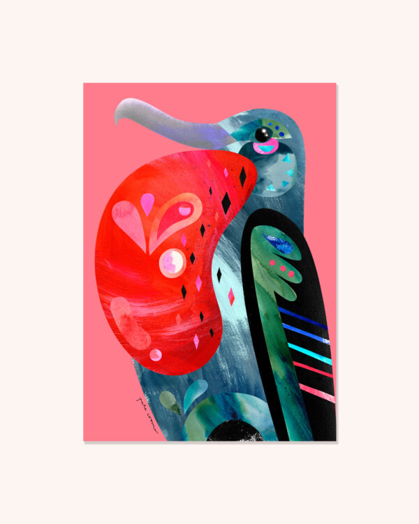 Christmas Island Frigatebird