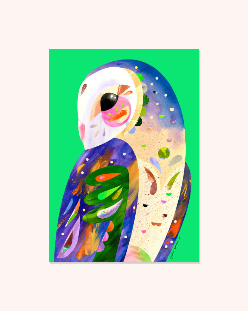 Eastern Grass Owl