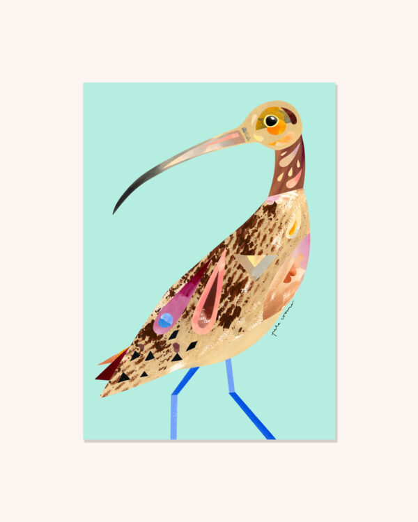 Far Eastern Curlew