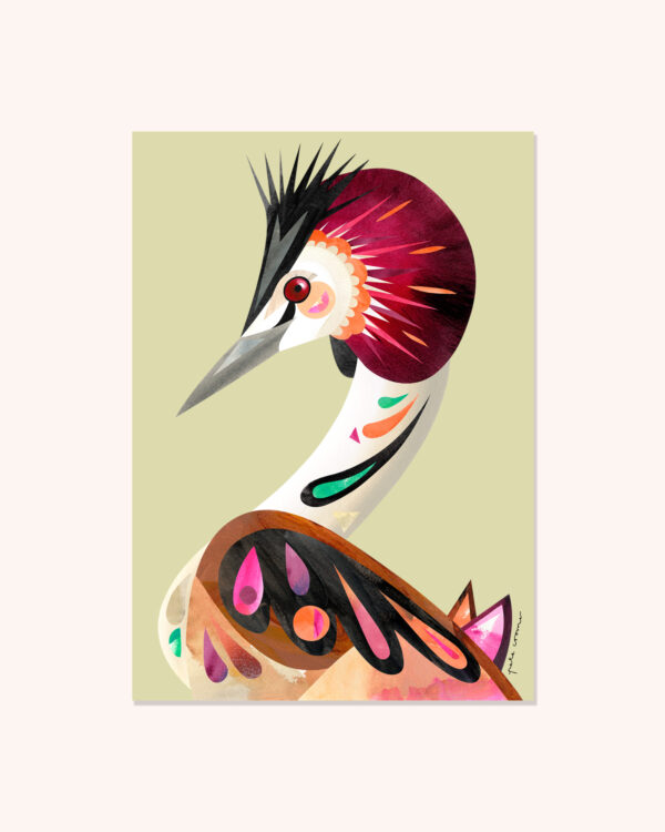 Great Crested Grebe