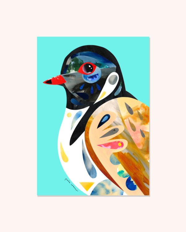Hooded Plover