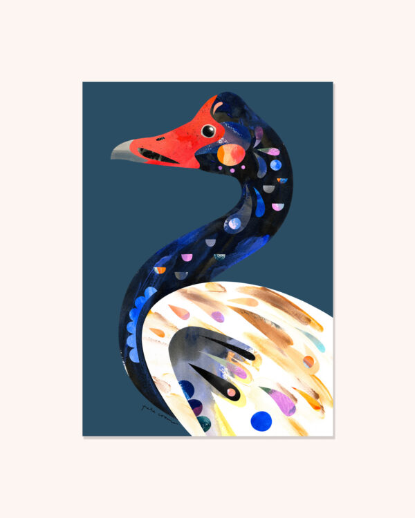 Magpie Goose