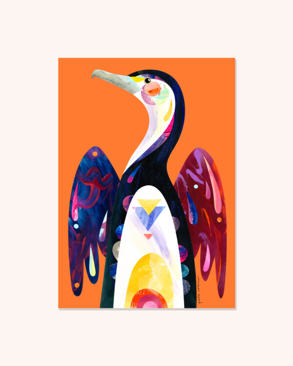 Pied Cormorant