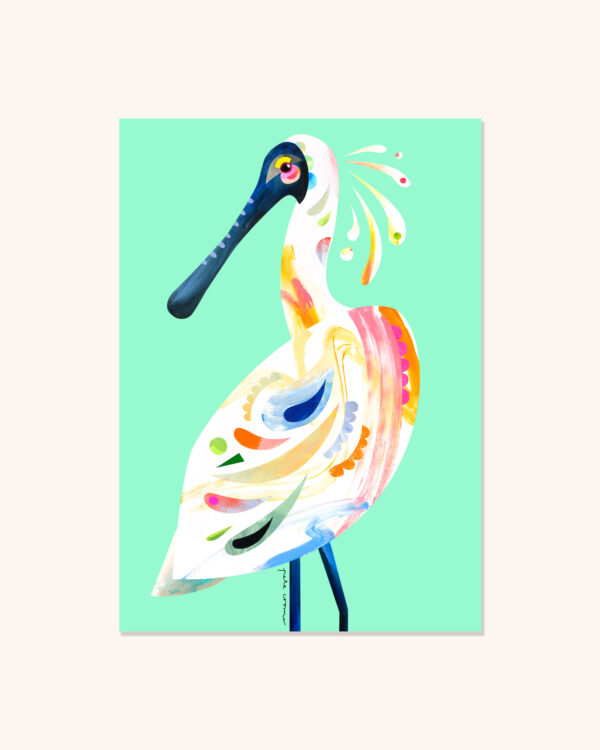 Royal Spoonbill