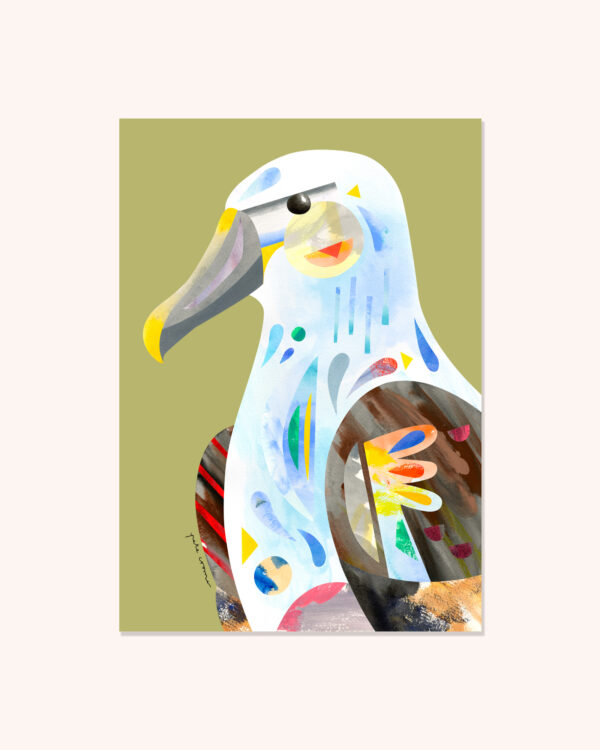 Shy Albatross